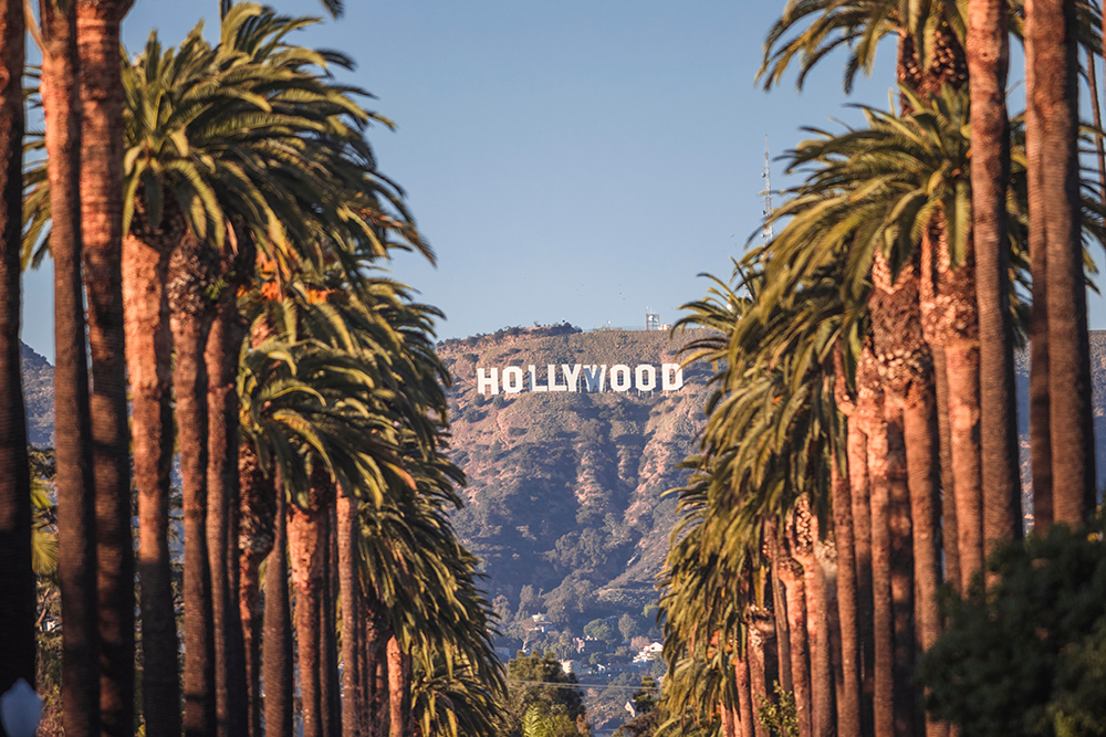 Hollywood Sign View